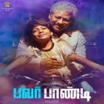 The Life Of Power Paandi - Vaanam Song Poster