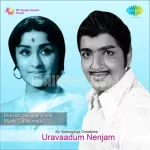 Nenachathellaam Nadkapore Song Poster