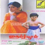 Pachaikili Vachirukkum Song Poster