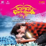 Aayaa Soathula Song Poster