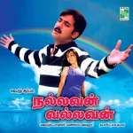 Vaayikkulela Song Poster