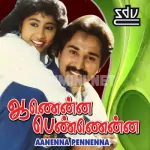 Penne Penne Pudhumai Penne Song Poster