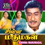 Mangalamelangal Song Poster