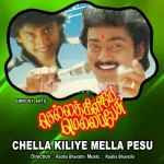 Sevvaazhai Seathukkullea Song Poster