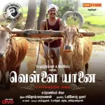 Nellu Vaasam Song Poster