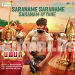 Saraname Saraname Saranam Ayyane Song Poster