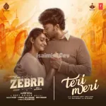 Tere Bina Song Poster